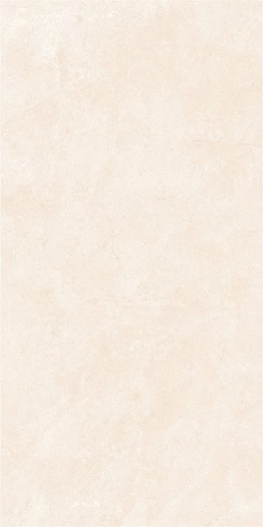 OL Marfil Matte 24 x 48